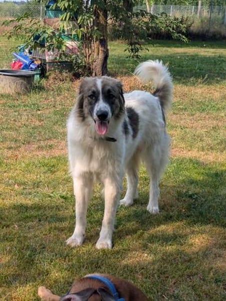Ozora sucht ein liebevolles Zuhause