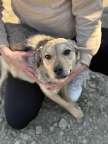 Holly ist bereit für ihr neues Leben