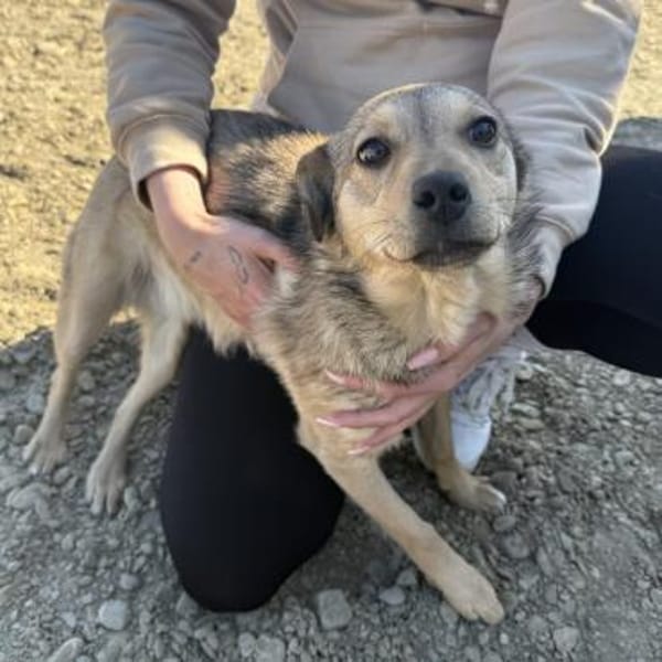 Holly ist bereit für ihr neues Leben
