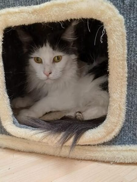 Traumhafte Fraya sucht Traumzuhause