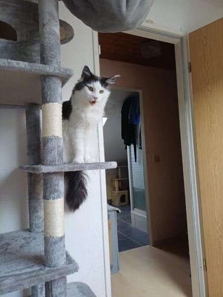 Traumhafte Fraya sucht Traumzuhause