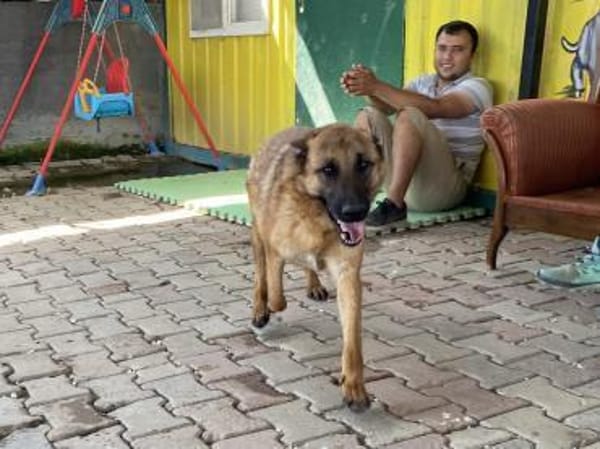 Lucky sucht ein Zuhause