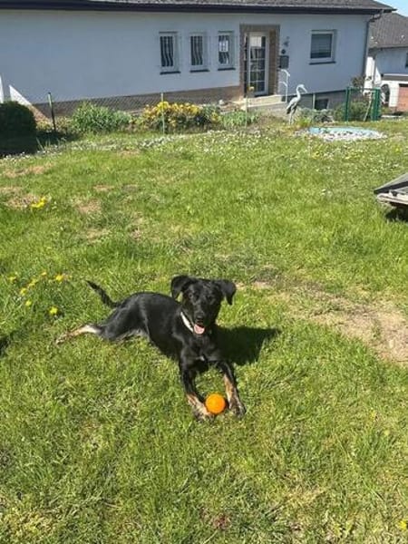 Zauberhafte Coco sucht ihre Menschen