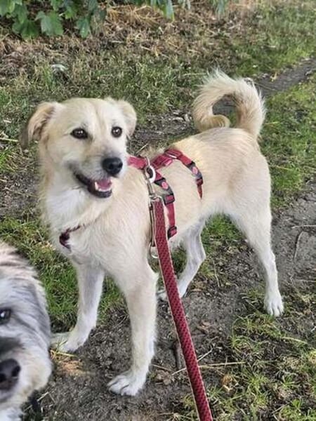 SOFY * freudig hopsend ab ins Herz