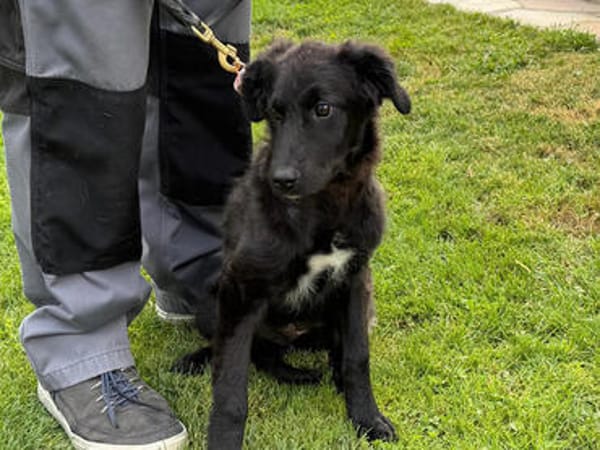 Petra sucht Familienanschluss