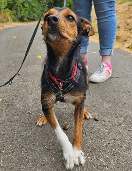 Heidi eine kleine Persönlichkeit