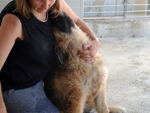 Lilù wünscht sich eigene Familie