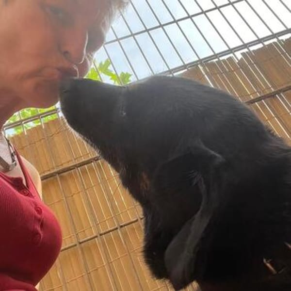 Rüde Filou sucht engagierte Menschen