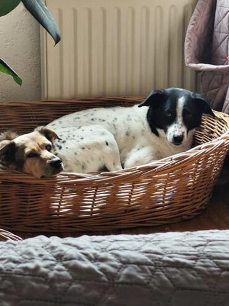 Unser schüchterner Kalli wartet auf sein persönliches Glück