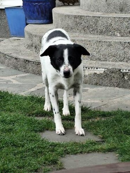 Unser schüchterner Kalli wartet auf sein persönliches Glück