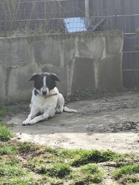 Unser schüchterner Kalli wartet auf sein persönliches Glück