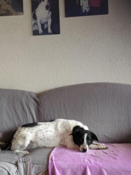 Unser schüchterner Kalli wartet auf sein persönliches Glück