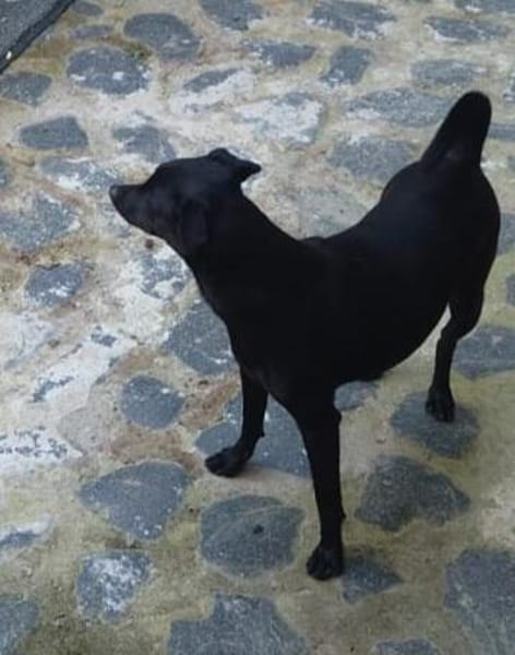 Tommy, Neuanfang gesucht