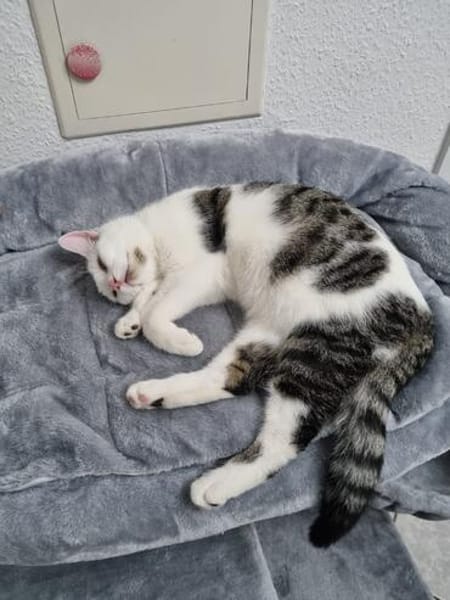 Oliver und Simon sind Scheidungskinder und müssen