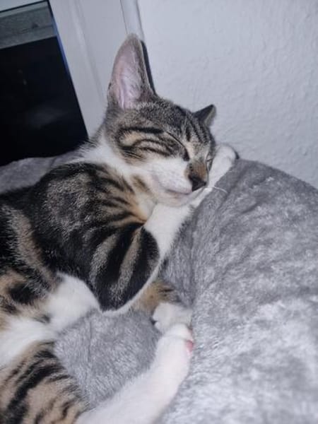 Oliver und Simon sind Scheidungskinder und müssen