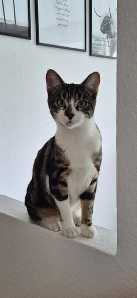 Oliver und Simon sind Scheidungskinder und müssen