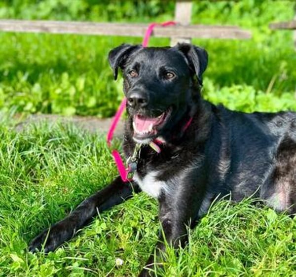 aktiver OREO sucht erfahrene Menschen