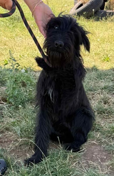 Leyla - auf der Suche nach ihrem Glück