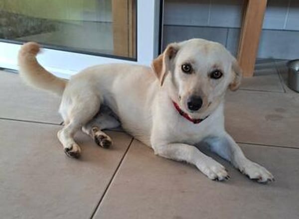 Nelly - super lieb und freundlich