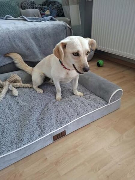 Nelly - super lieb und freundlich