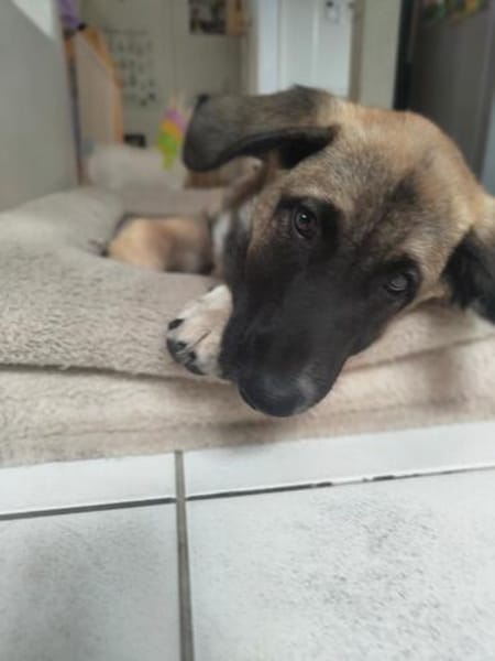Ilay - sucht seine Familie - bist du es ?