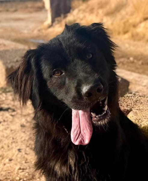 BOOMER (Maria)