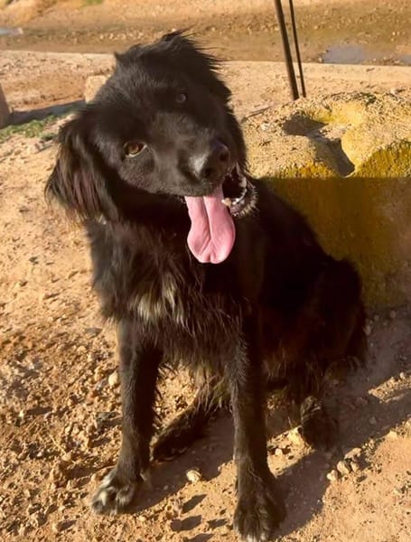 BOOMER (Maria)