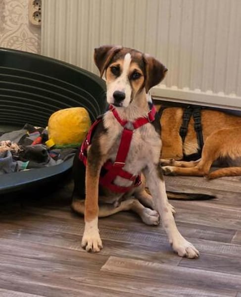 Neo - einfach wundervoll