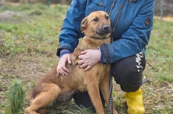 Maxi ❤Vom Tierheim ins Leben