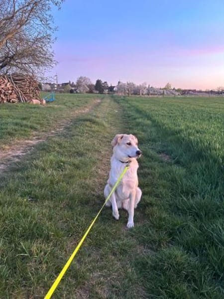 YUNA SUCHT NEUES ZUHAUSE