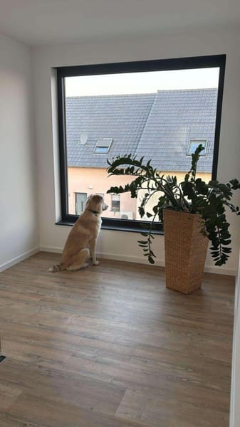 YUNA SUCHT NEUES ZUHAUSE