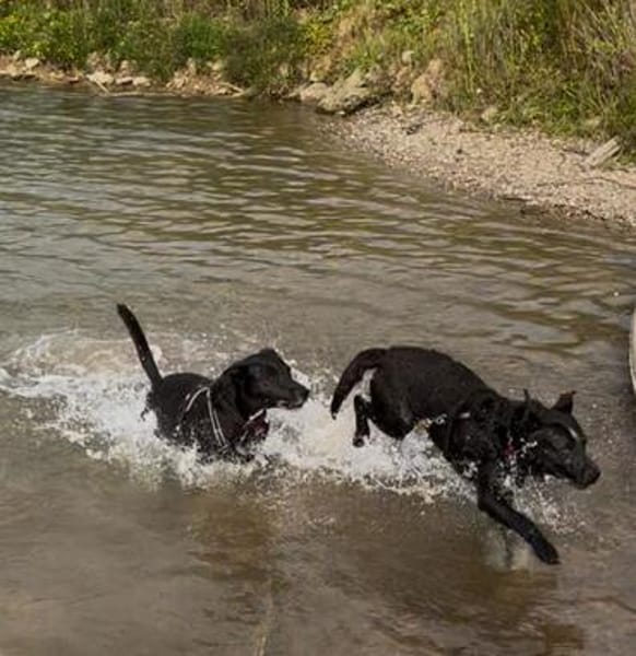 Jimmy