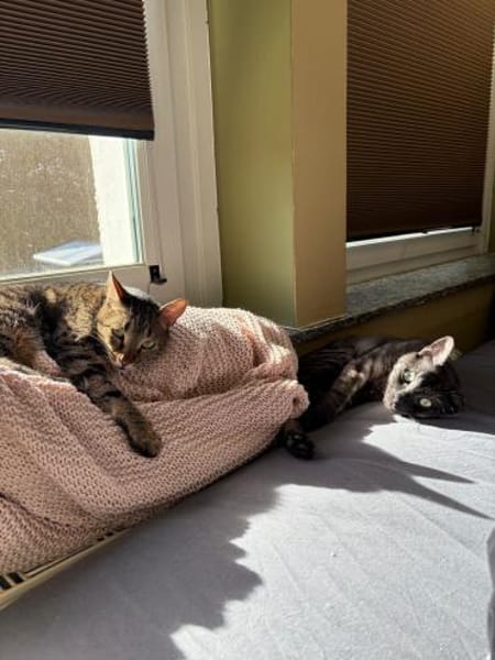 MORTI & LOKI