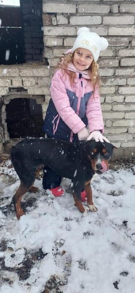 Tobi der kinderfreundliche Rüde