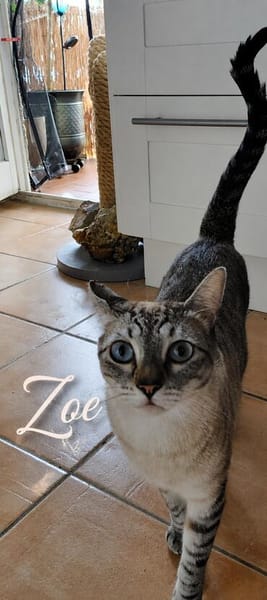 Mia und Zoe in Wiesbaden (ALO)