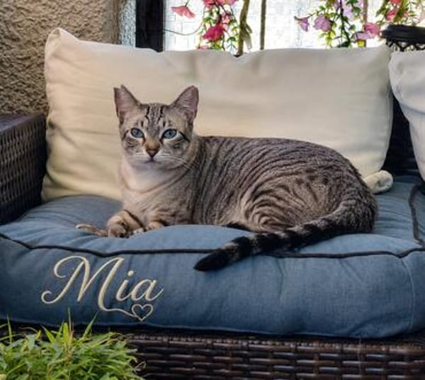 Mia und Zoe in Wiesbaden (ALO)