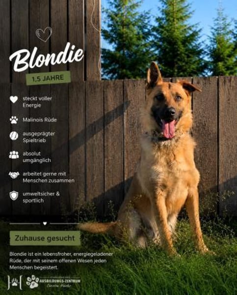 sportlicher Blondi wartet PLZ 39649