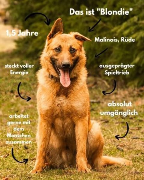 sportlicher Blondi wartet PLZ 39649