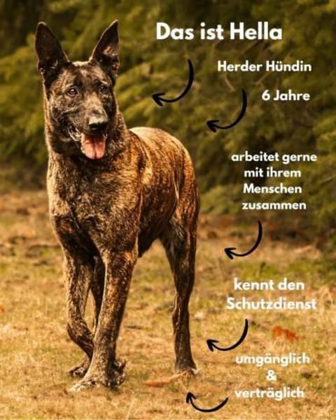 Die schöne Hella wartet PLZ 39649