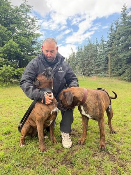 Boxer Brüder Alfred & Jambo suchen zusammen