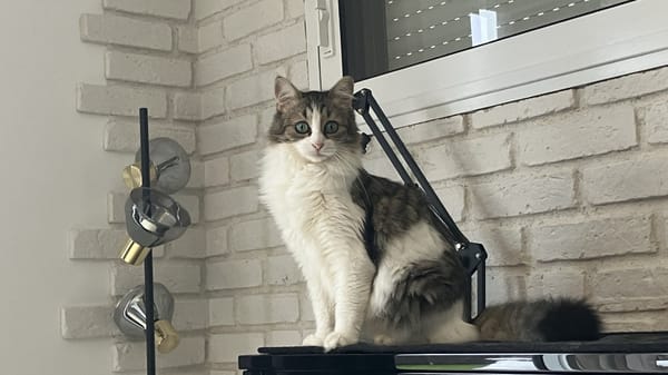 BINGA
