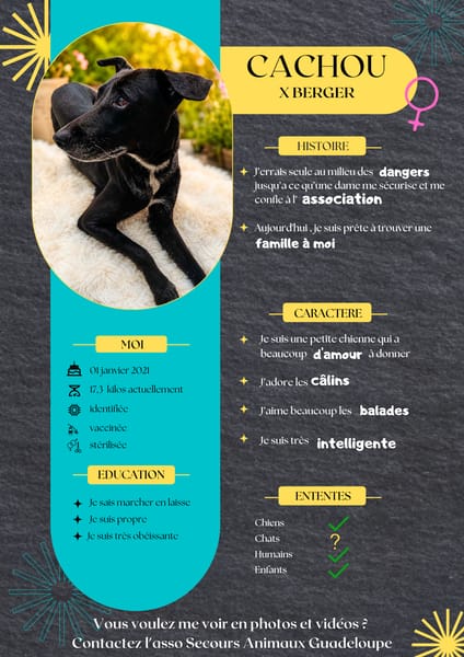 Cachou, la gentille louloute