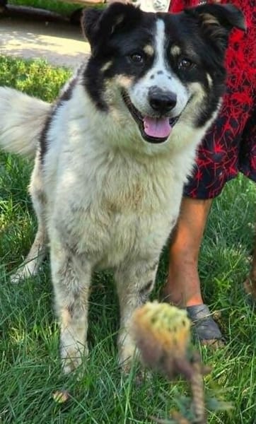 Liebe LUNA wartet in PLZ 76707 auf Besuch
