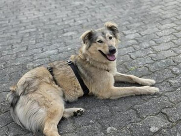 Petra  sensibel, neugierig und treu