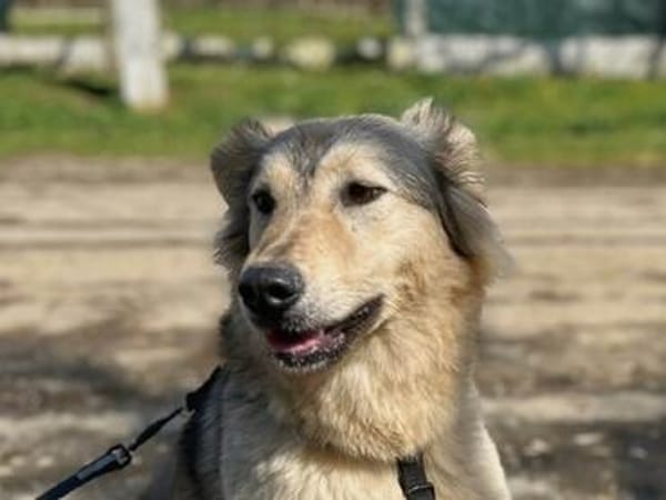 Petra  sensibel, neugierig und treu