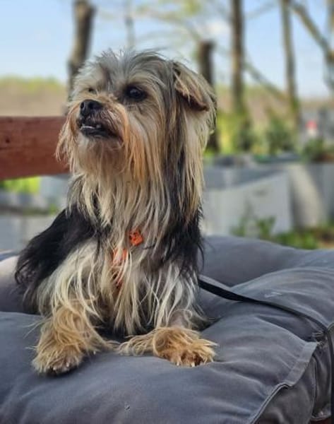 Esha ist neugierig und freundlich