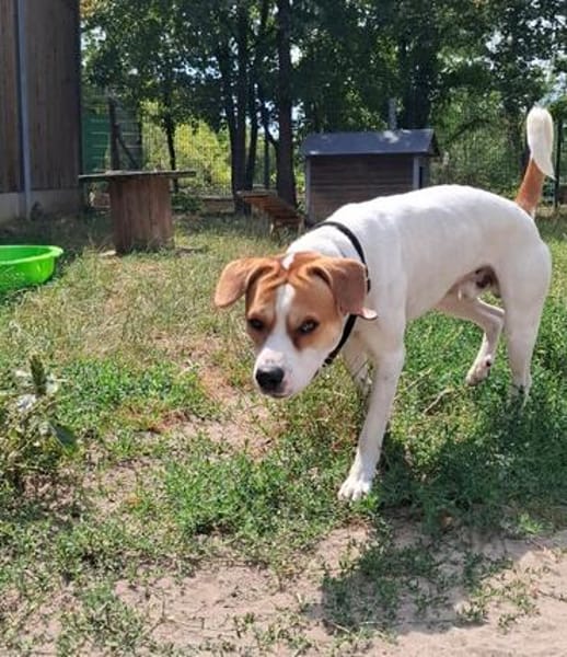 Oakley