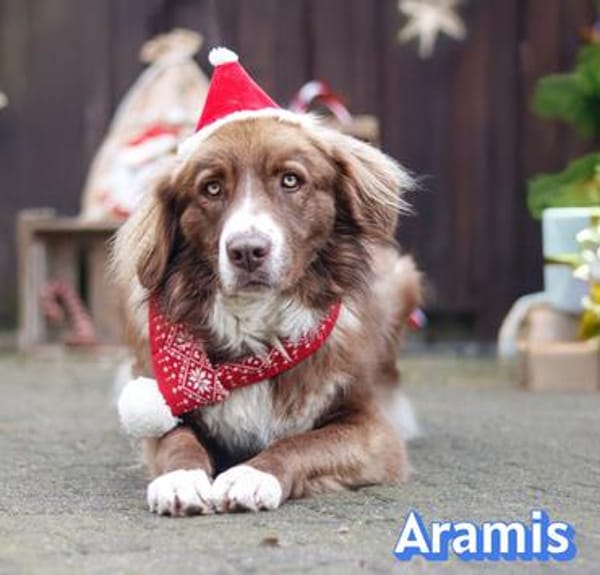 Vermittlungshilfe Aramis; 88239 Amtzell