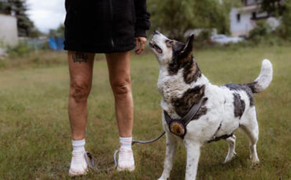 Noa ist bereit für ein neues Leben