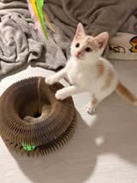 CARAMEL